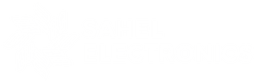 Sahel Électronique
